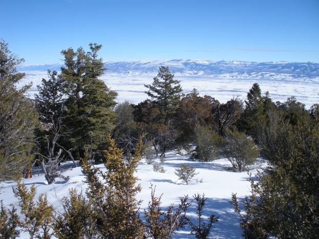 Wasatch Plateau from the summit of Stevens Benchmark