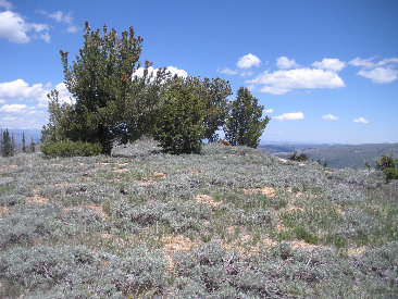 Hiking Utah