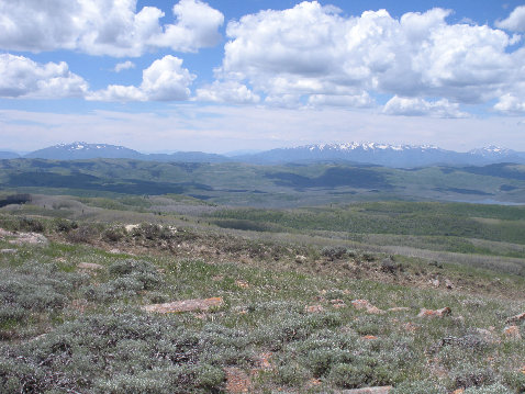 Wasatch Mountains