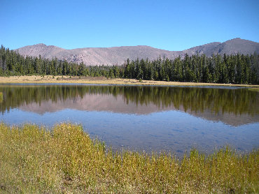 Timothy Lakes area