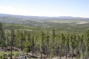 Ute Mountain