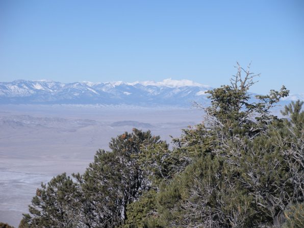 Wheeler Peak 