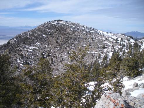 Swasey Peak true summit