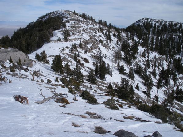 Hiking Swasey Peak