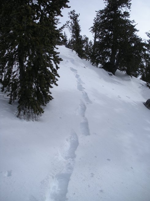 Snowshoeing on Swasey Peak
