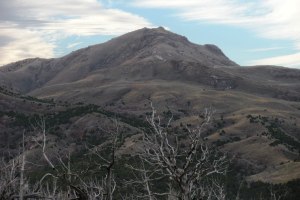 Maple Peak