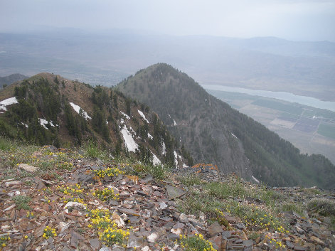 Bald Mine Mountain 