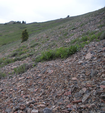 Slopes of Bald Mountain