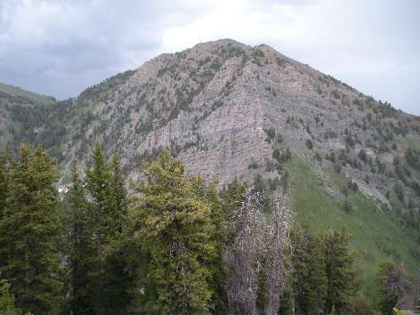 Bald Mountain 