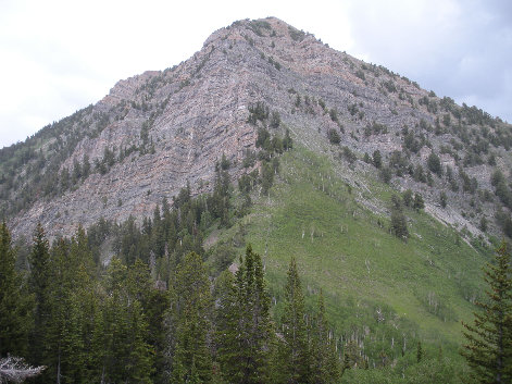 Bald Mine Peak road