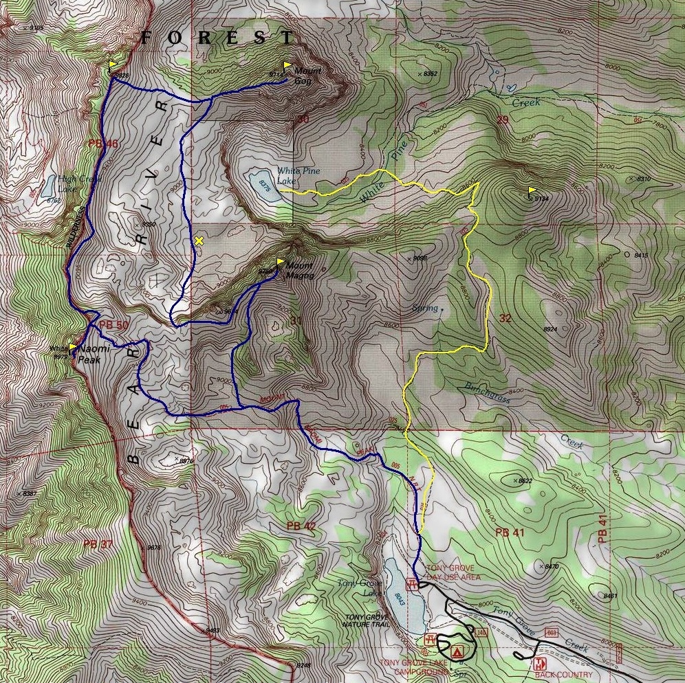 naomi peak map