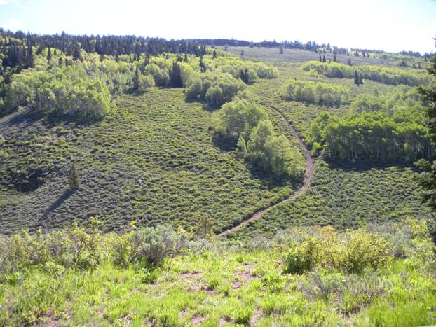 Bridger ATV trail