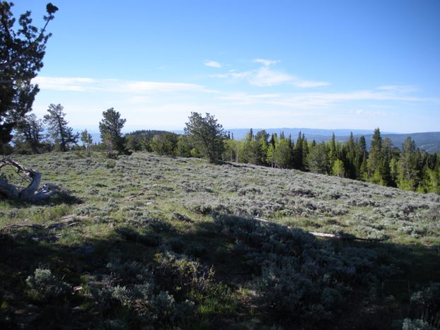 Bridger Peak county highpoint