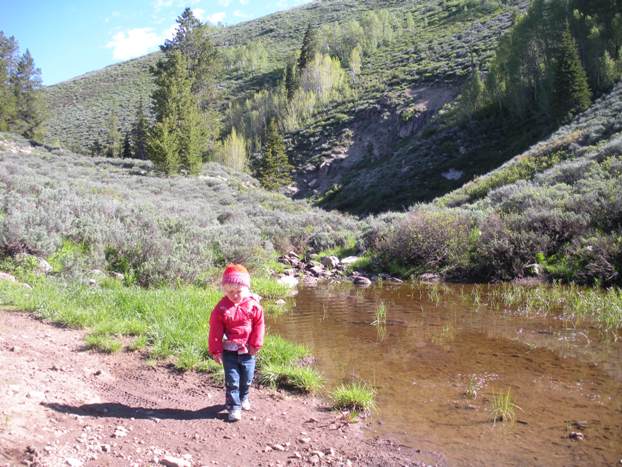 Bridger creek crossing