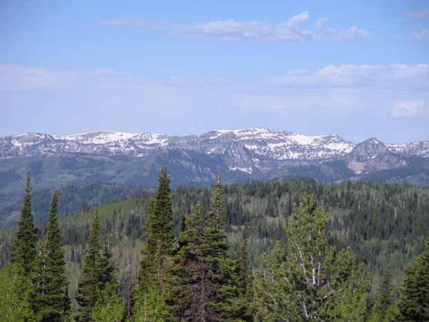 Naomi Peak Wilderness