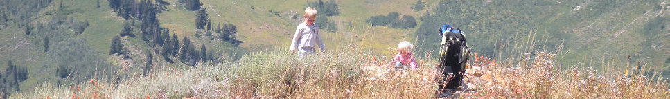 Reynolds Peak Utah summit