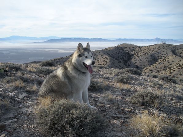 Grassy Mountains, Salt Flats