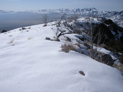 Onaqui loop snowshoe