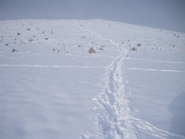 Snowshoing over the first hill