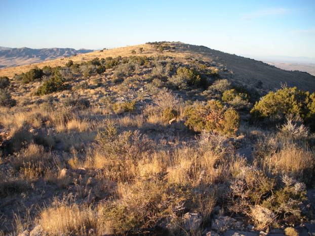 Craner Peak summit