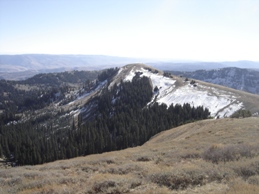 Logan Peak view