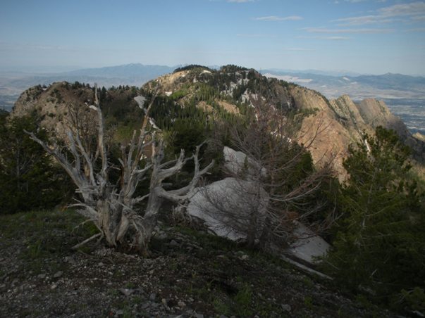 Neffs Peak from South Thayne