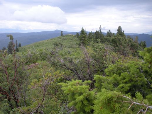 Gentle Band Ridge north