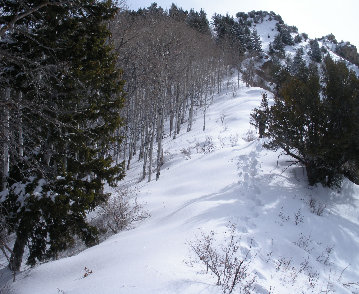 Snowshoeing up Nelson Peak