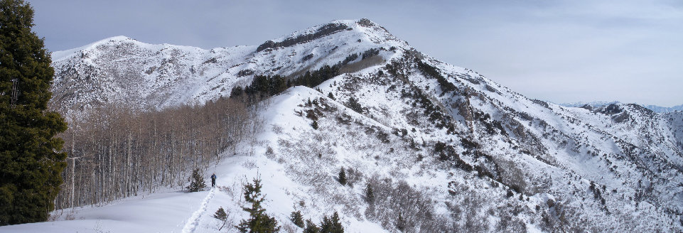Nelson Peak Utah