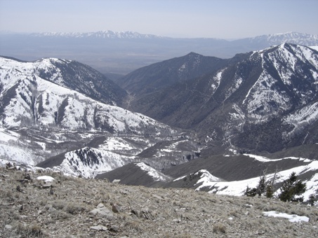 Ophir Canyon 