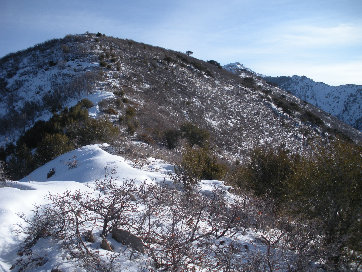 On Nelson Ridge 