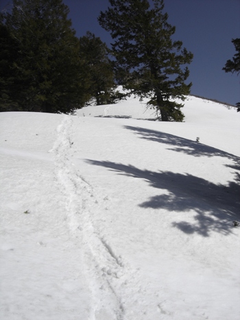 snowshoeing