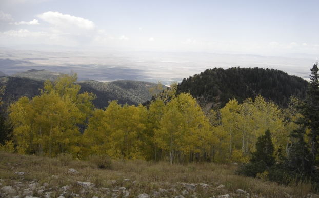 mine camp peak