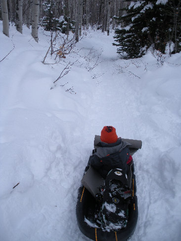 Sledding on Iron Mountain