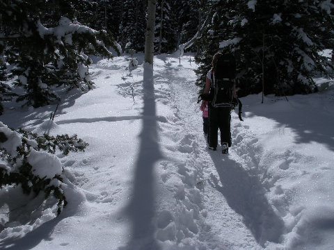 Iron Mountain Trail