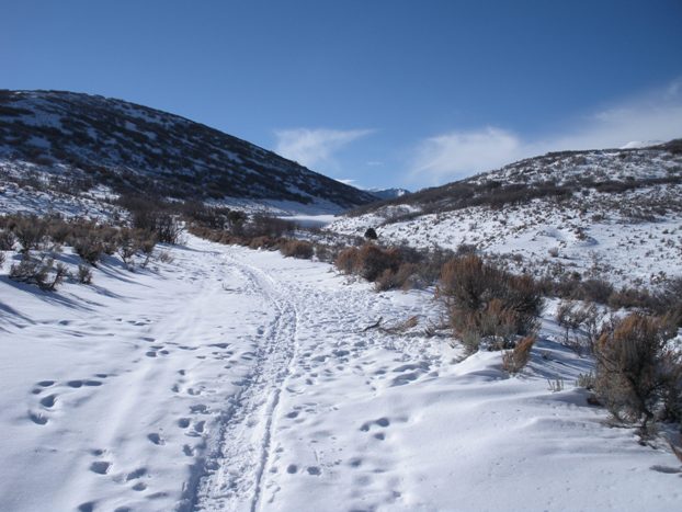 Road to Highland Drive Hill 