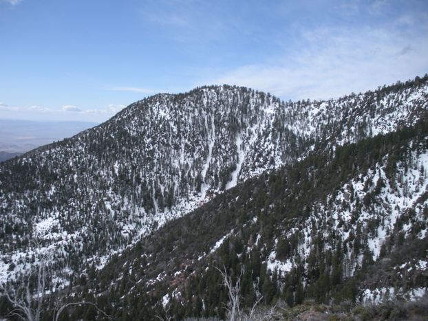 Climbing Signal Peak