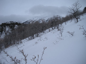 Snowshoeing near the summit