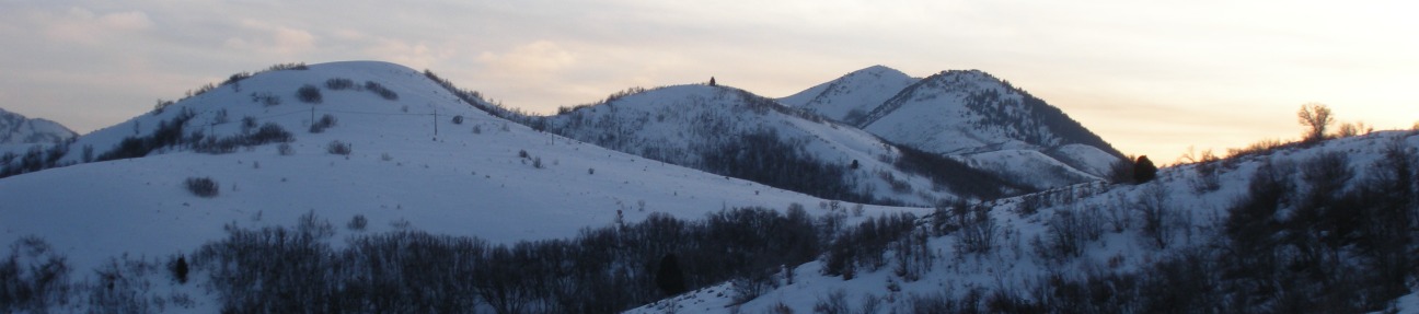 View of Dale Benchmark 