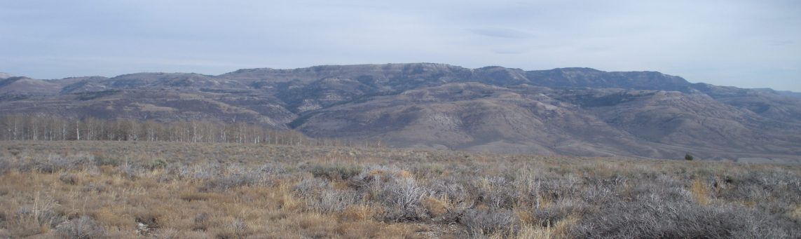 Reservation Ridge above Soldier Summit