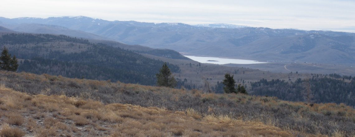 Scofield Reservoir from Tucker