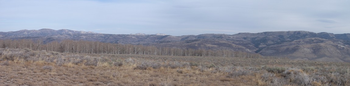 Reservation Ridge above Soldier Summit