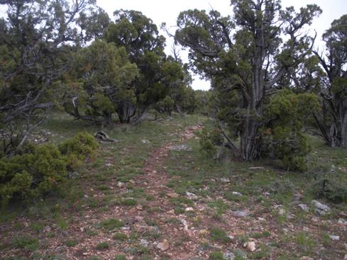 Ridge of Split Mountain