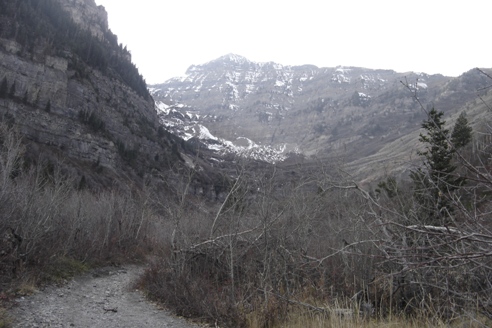 Timpanogos Trail