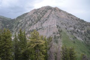 Bald Mountain