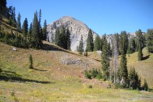 Box Elder South