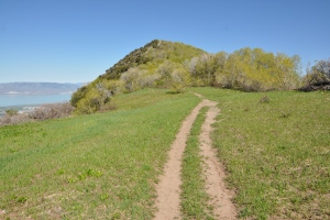 Buffalo Peak