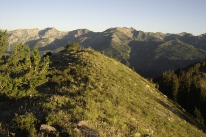 Mill Canyon Peak