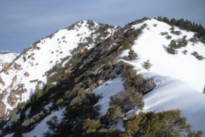 Snowdrift