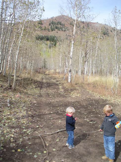 Dry Mountain Trailhead